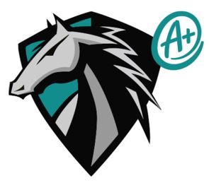  STMS A Logo